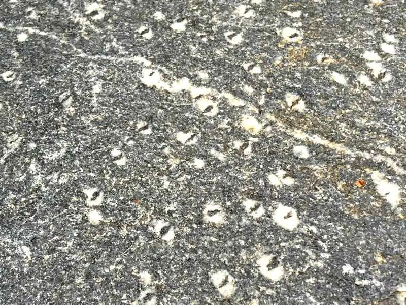 An image of Gneiss rock, and one of the fun facts about Grand Teton National Park.