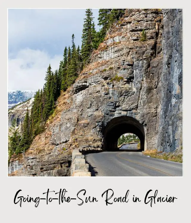 Concrete road through a tunnel in the mountains surrounded by trees in Glacier National Park.