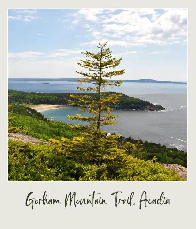 Lake surrounded by trees and mountains in Gorham Mountain Trail in Acadia National Park.