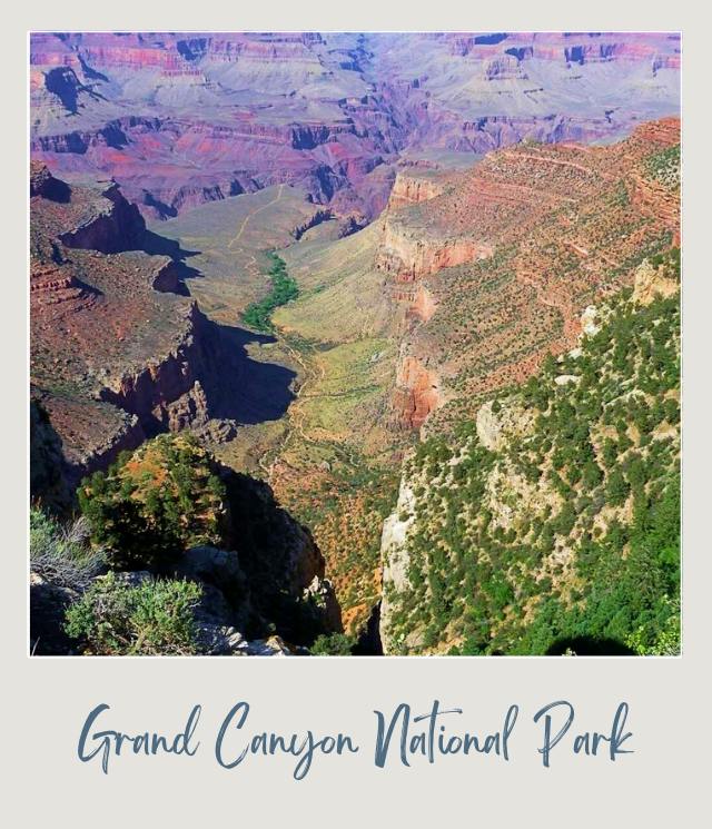 Aerial view of mountains and trees at South Rim in Grand Canyon National Park.