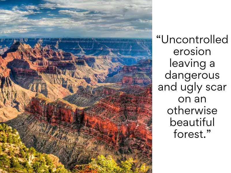 Grand Canyon National Park bad reviews - Uncontrolled erosion leaving a dangerous and ugly scar on an otherwise beautiful forest