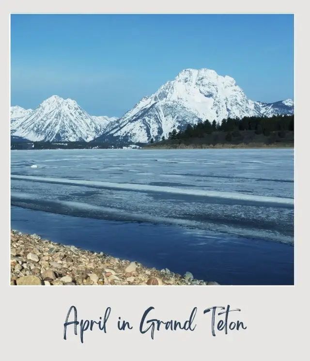 river with snow capped mountains in background in Grand Teton National Park in April