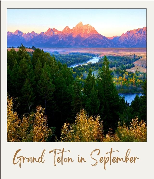golden trees in foreground, the green pine trees, then bend in a river on a plain, then hills in background glowing in first light of the day in Grand Teton National Park in September