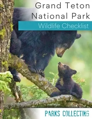 Grand Teton Wildlife Checklist