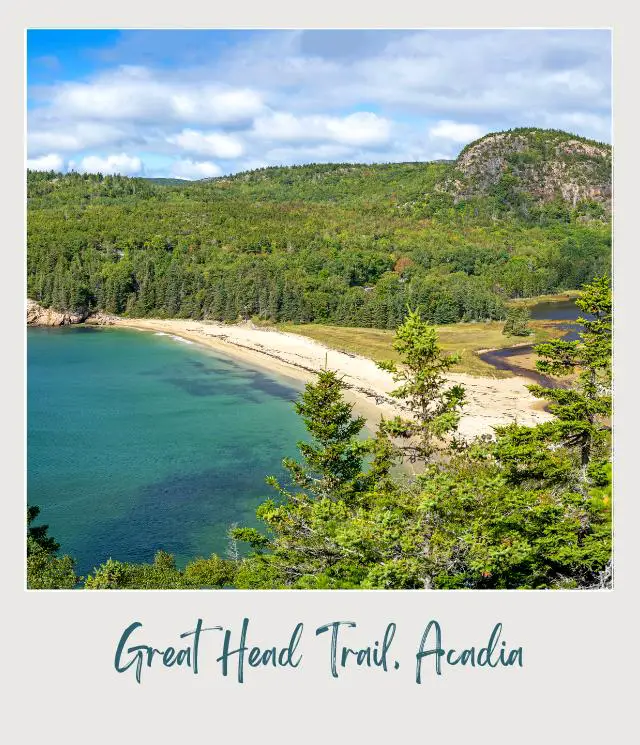 Ocean surrounded by trees and seashore in Great Head Trail in Acadia National Park.