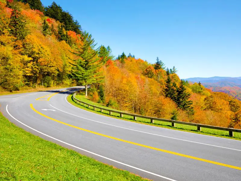 Highway with a yellow line in the middle surrounded by colorful trees in Great Smoky Mountains National Park.