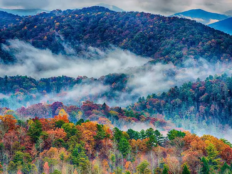 Aerial view of colorful trees covered with fog in Great Smoky Mountains National Park.
