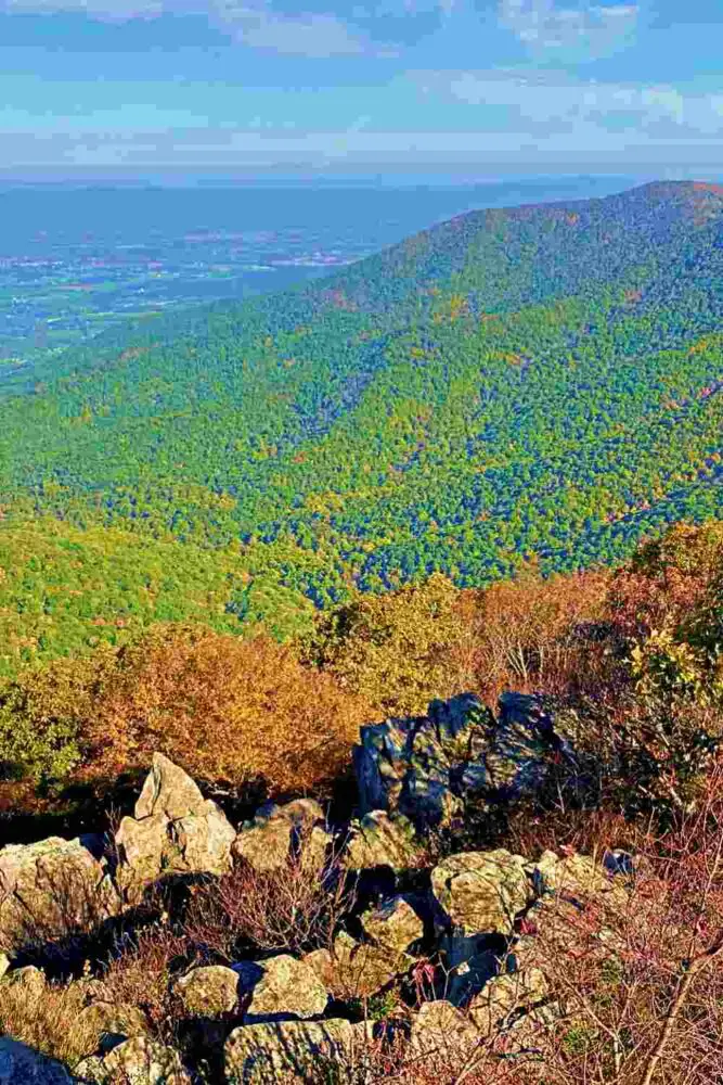 Rocks and mountains of trees with colorful leaves under blue skies in Shenandoah National Park