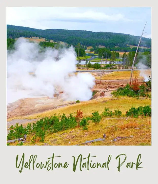10 Fun Facts about Yellowstone National Park Valley surrounded by trees and smoke in Yellowstone National Park