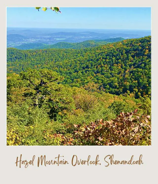 25 Best Overlooks on Skyline Drive Hazel Mountain Overlook View Shenandoah National Park