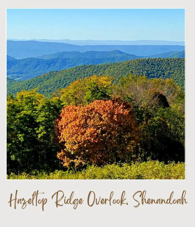 25 Best Overlooks on Skyline Drive Hazeltop Ridge Overlook Shenandoah National Park