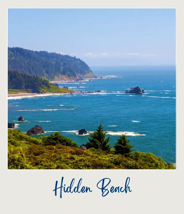 Hidden Beach Redwood National and State Parks