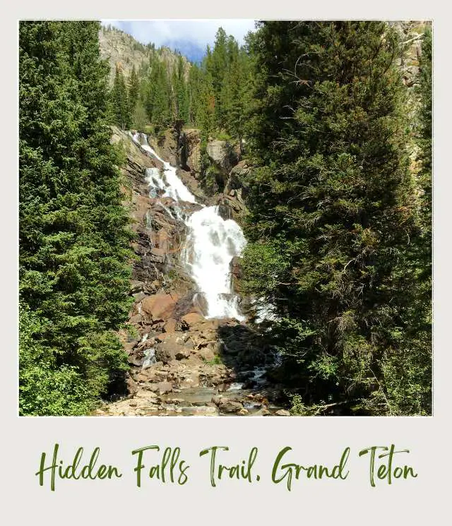 Waterfalls surrounded by rocks and trees in Grand Teton National Park.