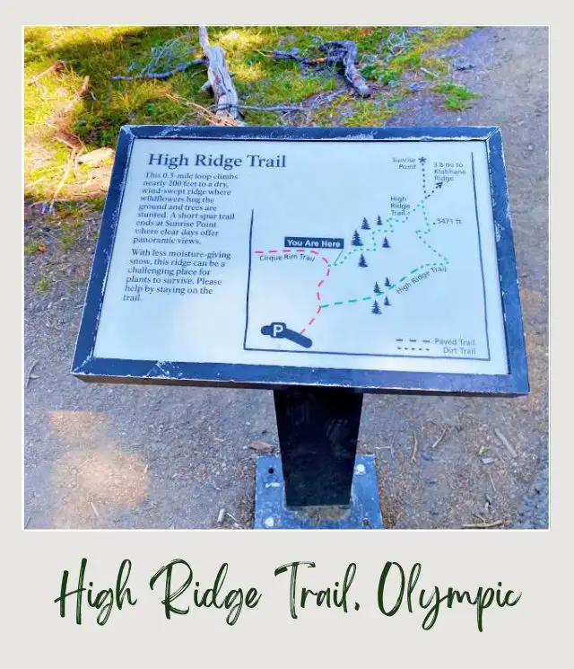 High Ridge Trail to Sunrise Point, Hurricane Ridge: Complete Guide Black panel board in Hurricane Ridge Olympic National Park