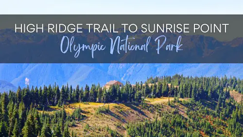 View of a lodge on the mountain surrounded by trees and mountains ,with the text, High Ridge Trail to Sunrise Point Olympic National Park.