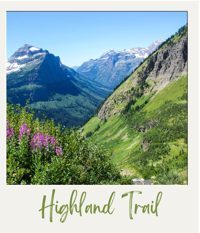 How Many Days Do You Need in Glacier National Park? hills with deep valley and some pink flowers in foreground from Highland Trail in Glacier National Park
