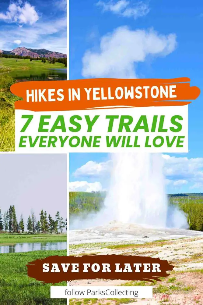 The 7 Best Easy Hikes in Yellowstone National Park Hikes in Yellowstone 7 Easy Trails Everyone Will Love