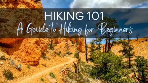 View of a trail beside the red rock formations and trees, with the text, "Hiking 101_ A Guide to Hiking for Beginners."