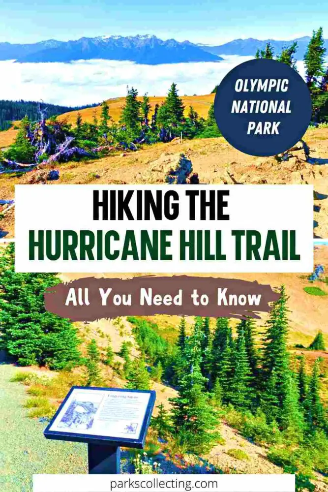 Two photos: Above a huge rock and behind are trees and mountains surrounded by clouds and below panel board surrounded by trees with the texts "Hiking The Hurricane Hill Trail All You Need to Know."
