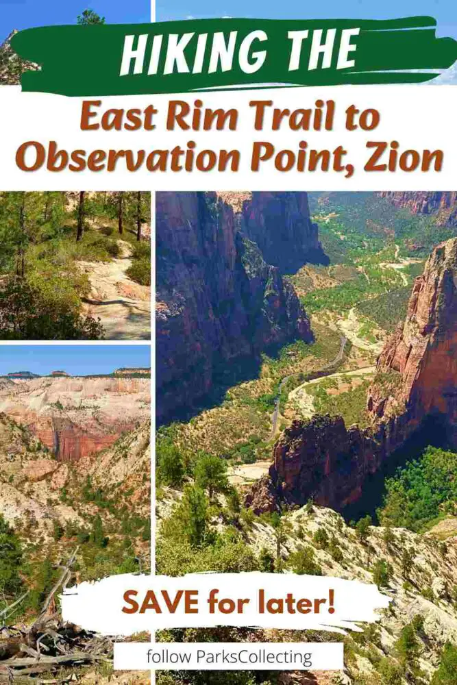 Hiking the East Rim Trail to Observation Point Zion