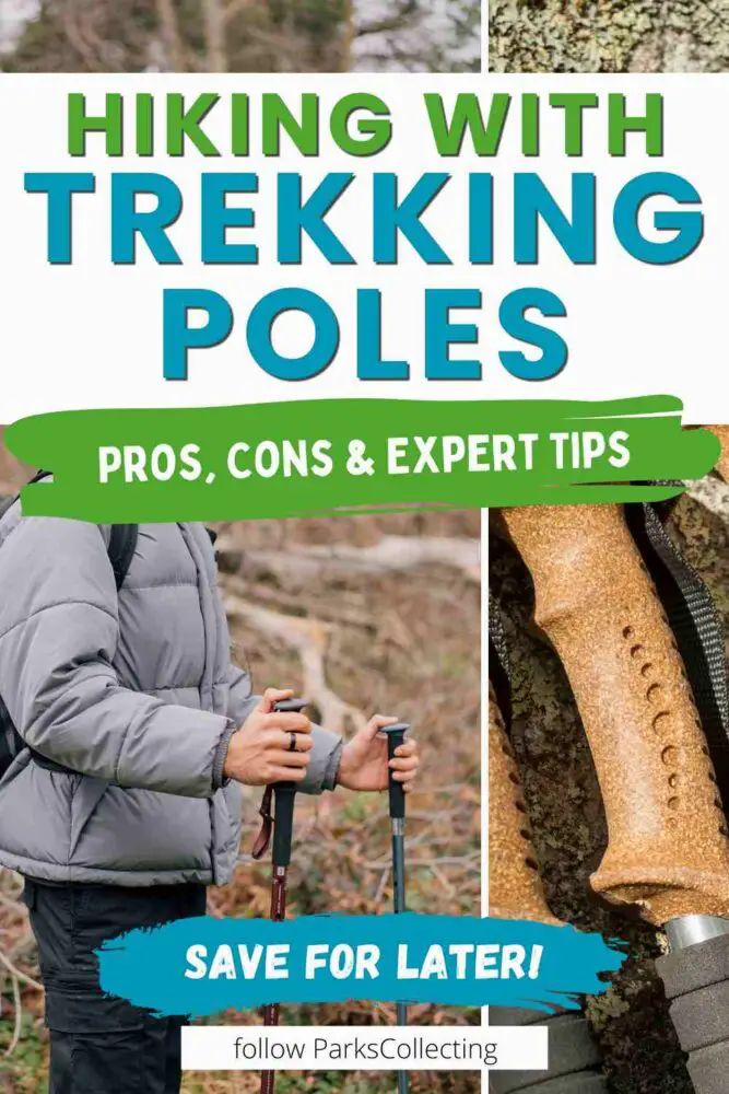 Pros and Cons of Trekking Poles: What You Need to Know Hiking with Trekking Poles Pros Cons Expert Tips