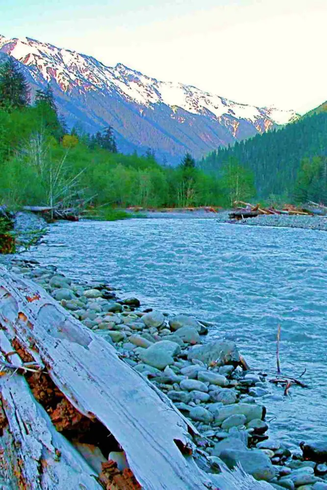 River and besides are stones and logs surrounded by trees and behind is a snow-capped mountain in