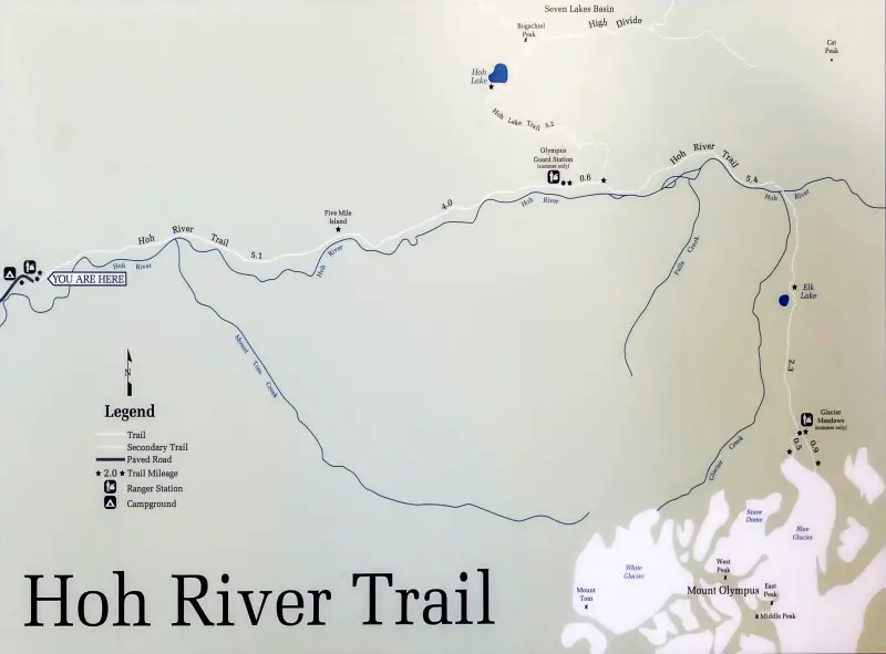 Hoh rainforest trail outlet map