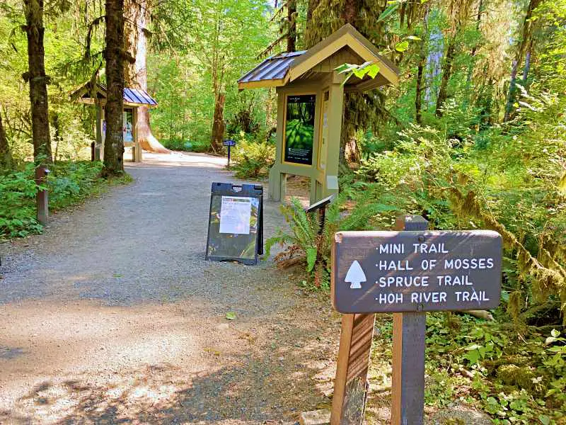 Hoh River trailhead Olympic National Park