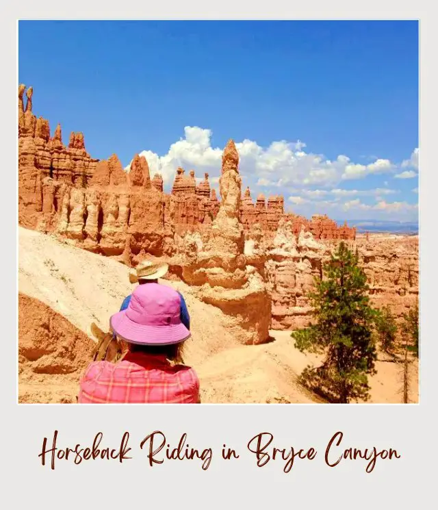 A woman and man, and in front of them are piles of rocks surrounded by small trees in Bryce Canyon.