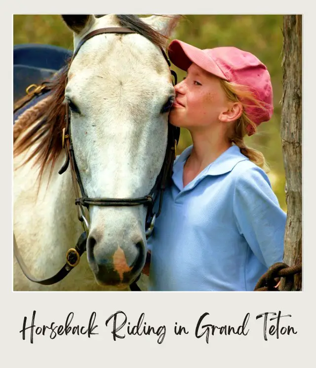 A woman wearing red cap facing a horse in Grand Teton National Park.