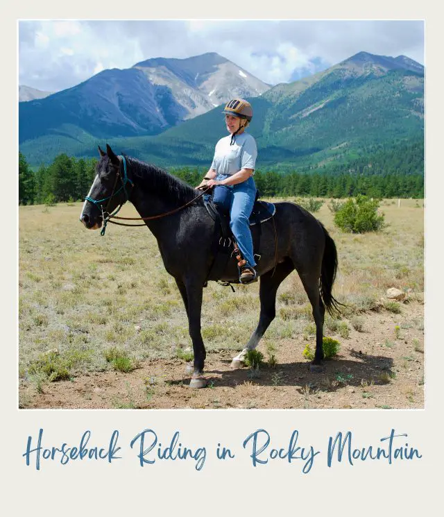 Horseback Riding in the Rocky Mountains National Park