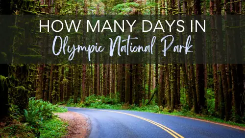 How Many Days in Olympic National Park Header