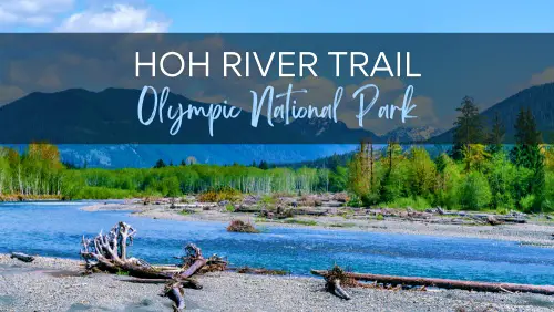 View of the blue river surrounded by trees, logs, and mountains, with the text, Hoh River Trail Olympic National Park.