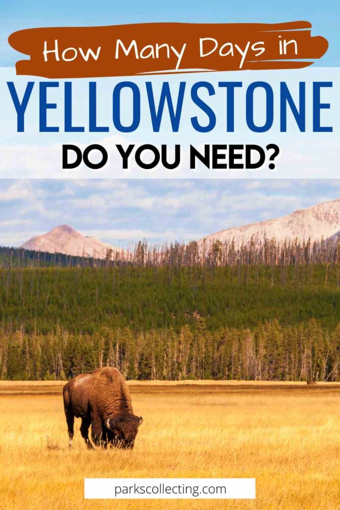 How many days in Yellowstone do you need