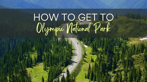 Aerial view of a concrete road surrounded by trees and mountains, with the text, How to Get to Olympic National Park.