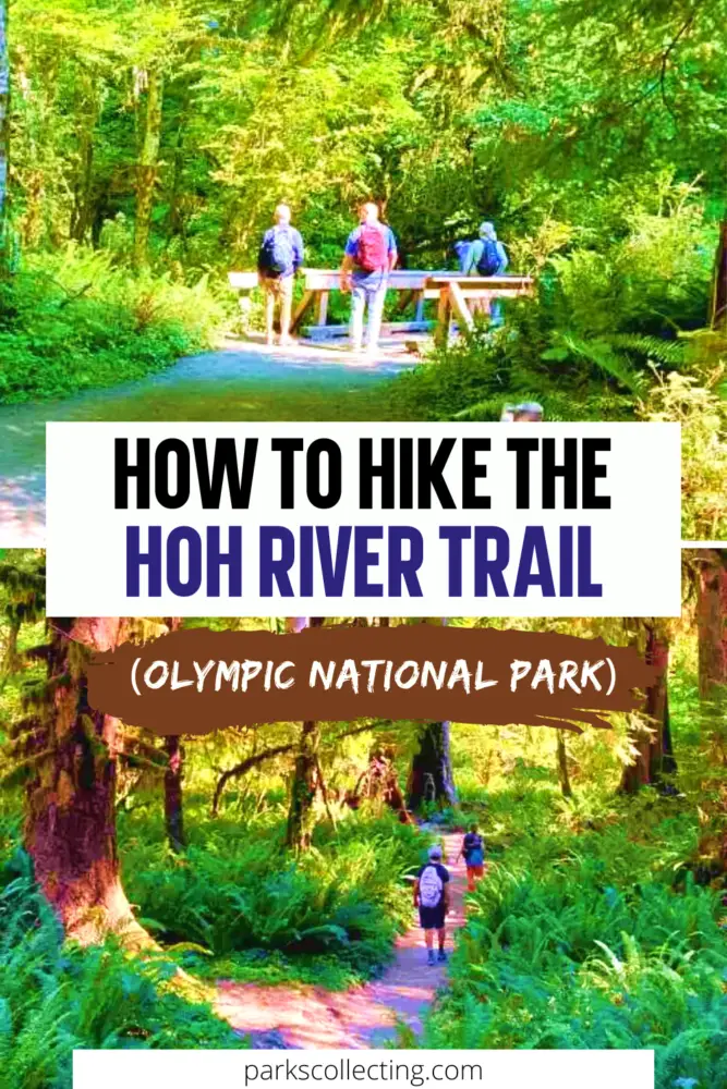 How to Hike the Hoh River Trail Pin