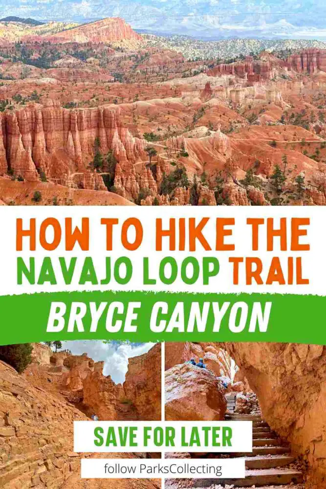 How to Hike the Navajo Loop Trail Bryce Canyon