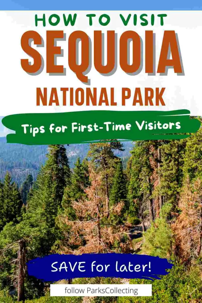 How to Visit Sequoia National Park Tips for First Time Visitors