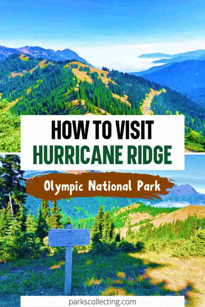Two photos: Mountains surrounded by trees and below is a photo of wooden signage in the middle of grasses, trees, and mountains with the text in the middle that says HOW TO VISIT HURRICANE RIDGE Olympic National Park