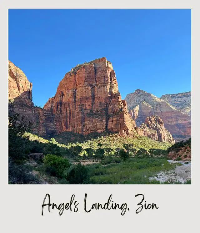 Huge Mountains and Bushes in Angels Landing in Zion National Park