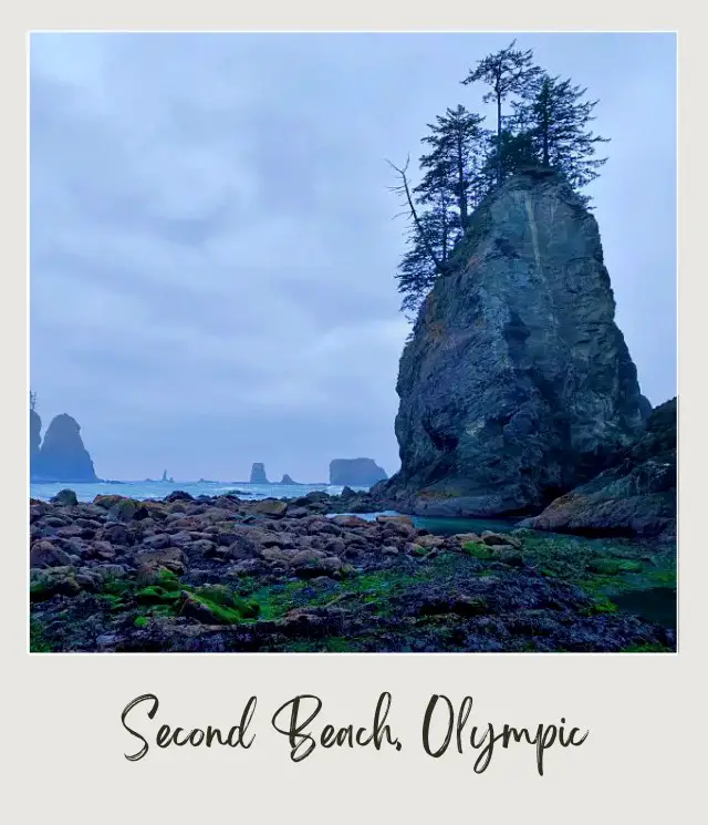 La Push Second Beach, Washington State: Complete Guide Iconic rock formation surrounding the beach of Olympic National Park.