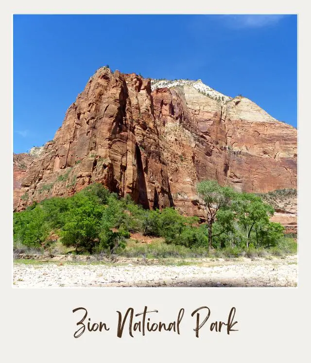 Huge rock mountains and below are trees in Zion National Park