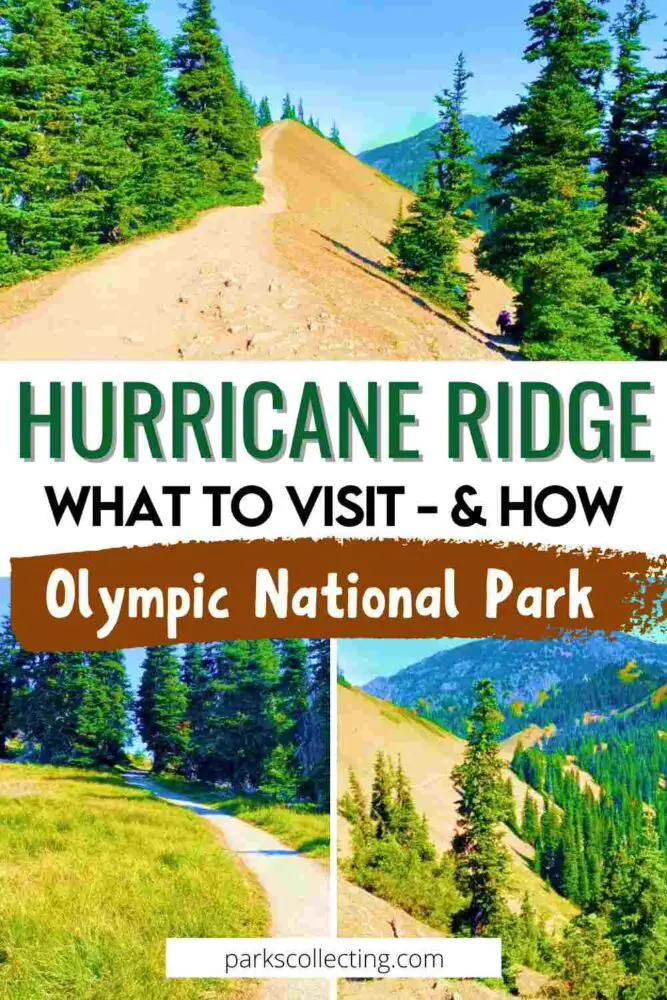 Three photos: above is a photo of a minor road surrounded by trees; and below are pictures of a minor road surrounded by trees and grasses and a mountain of trees, with the text that says HURRICANE RIDGE WHAAT TO VISIT AND HOW Olympic National Park