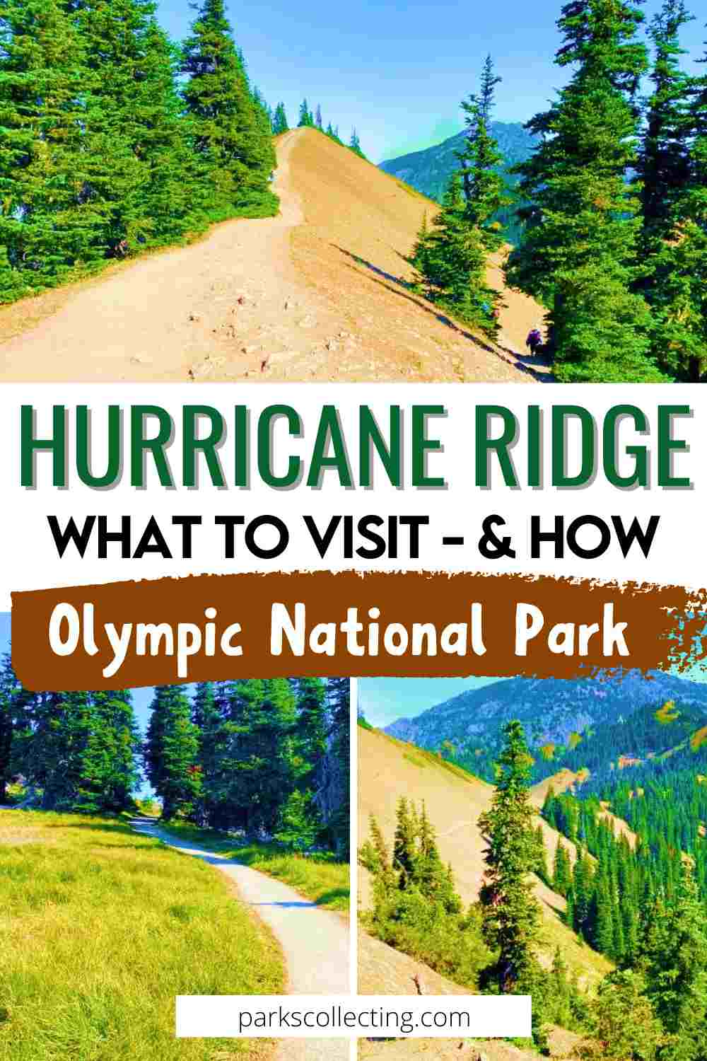 Visiting Hurricane Ridge, Olympic National Park: Complete Guide
