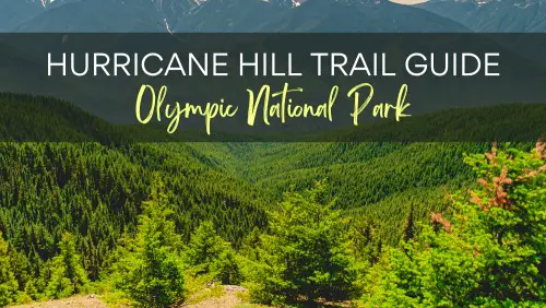 View of mountains and trees with the text, Hurricane Hill Trail Guide Olympic National Park.