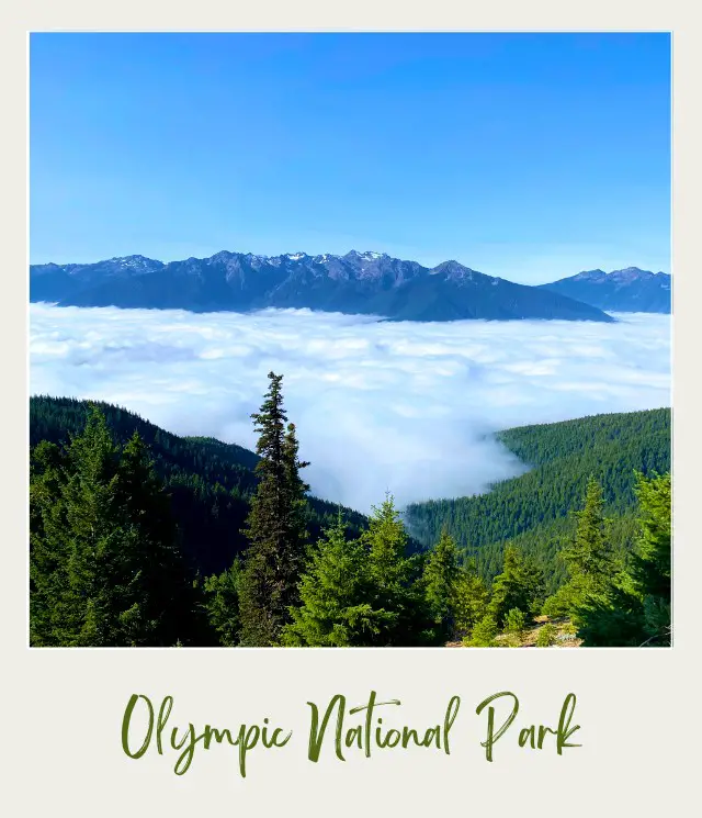 Hurricane Hill Trail Olympic National Park