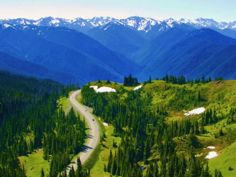 How to get to Olympic National Park easily and safely