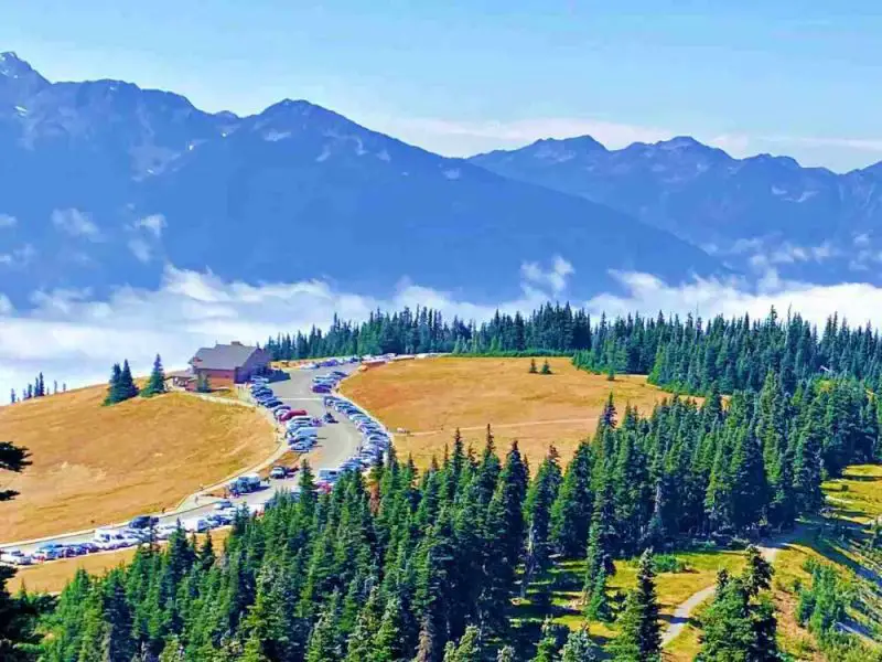 A photo of mountains and below are cars parked on a bent road, and beside is a building surrounded by trees in Hurricane Ridge Olympic National Park