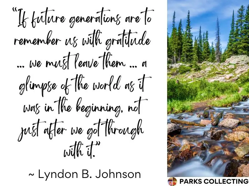 If future generations are to remember us with gratitude ... we must leave them ... a glimpse of the world as it was in the beginning, not just after we got through with it