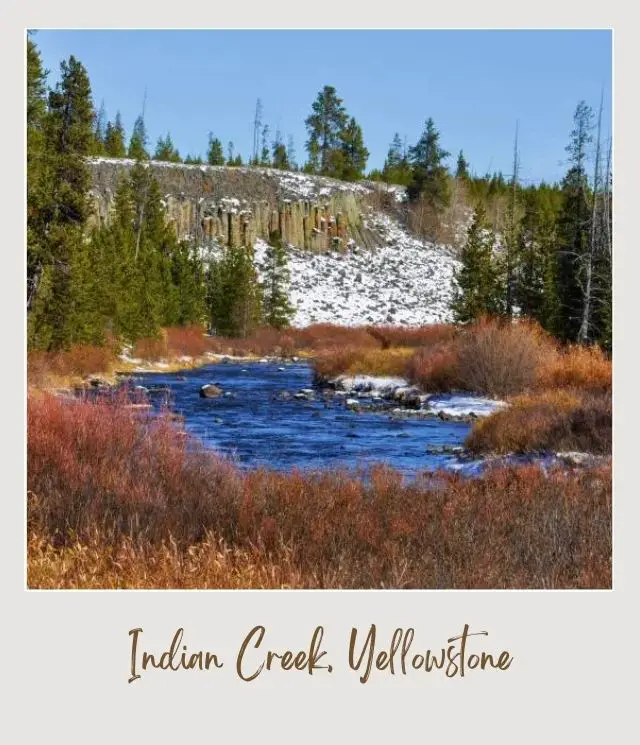 The Best Camping in Yellowstone National Park: Complete Guide creek with red grass around it